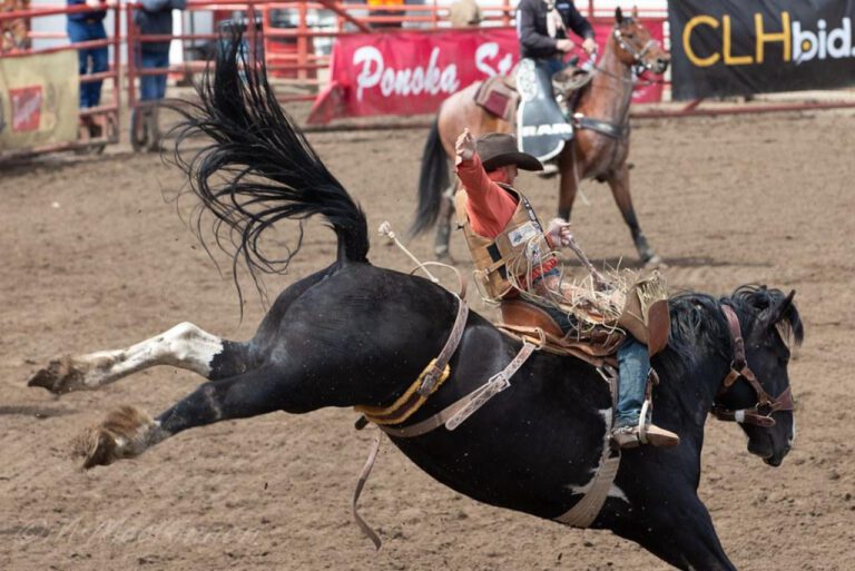 Unforgettable June Festivities: A Joyous Celebration Like No Other!