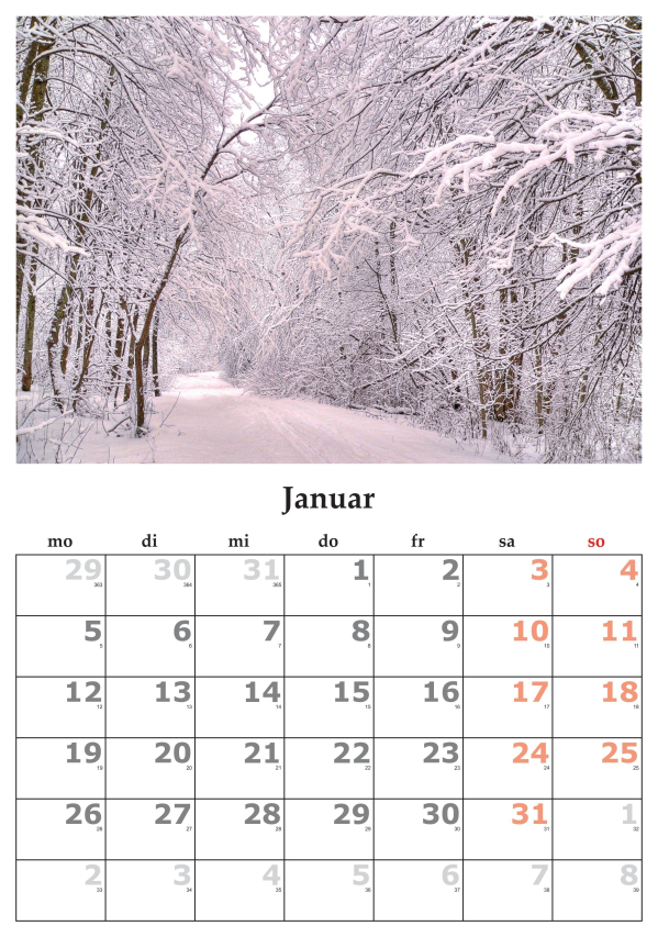 January Festivities: Unveiling the Joys of Winter Celebrations