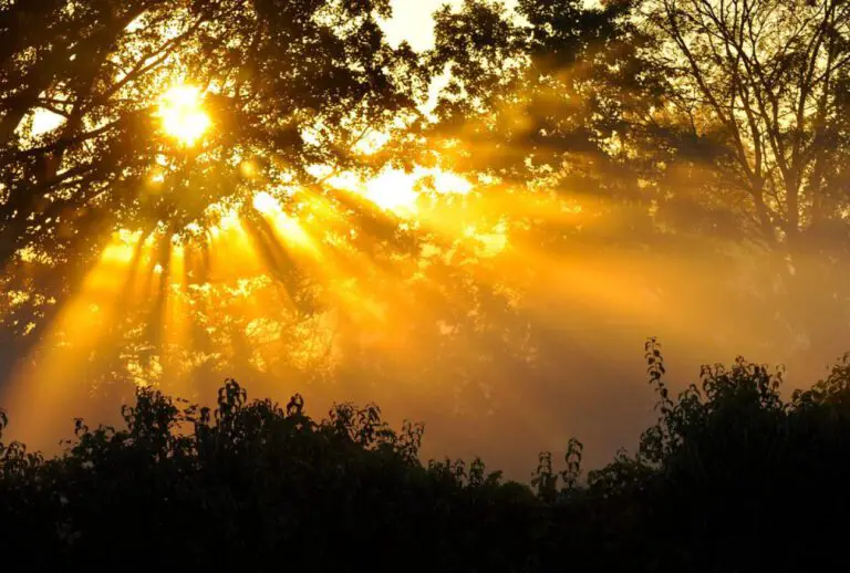 September Holidays: What to Celebrate This Month
