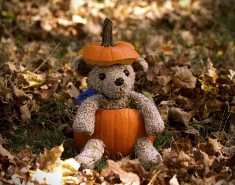 October Holidays: A Guide to the Major Celebrations