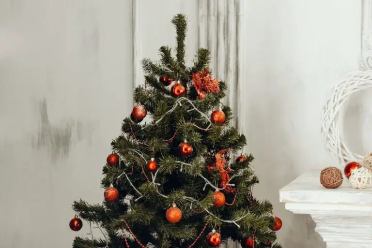 Get in the Spirit: December Awareness Month