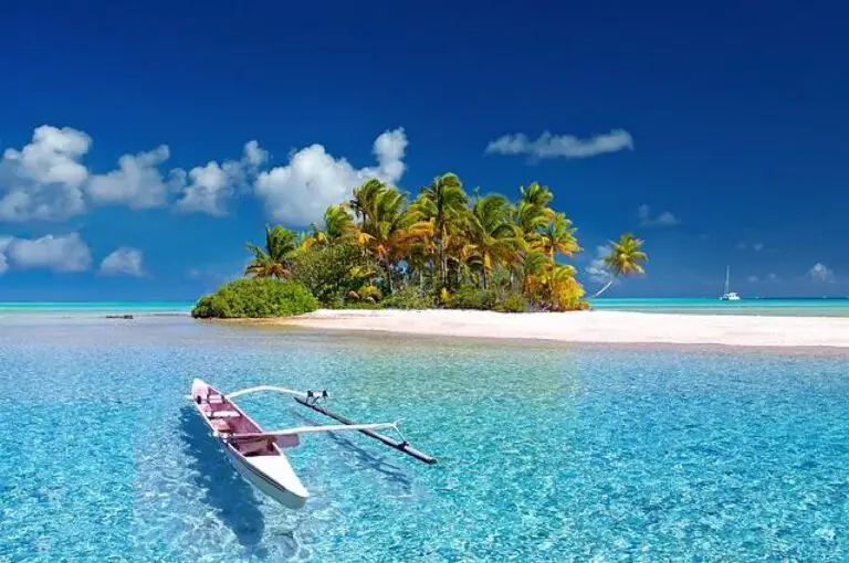 Discover the Fun: What Holidays Are in July