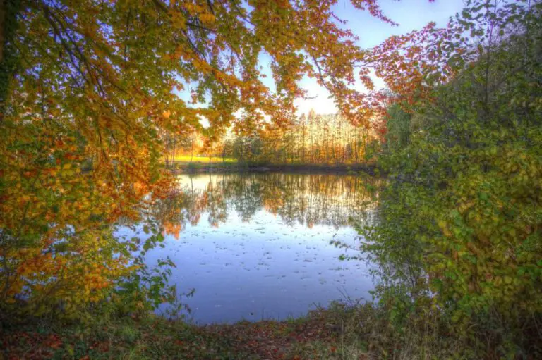 November Holidays: Your Ultimate Guide