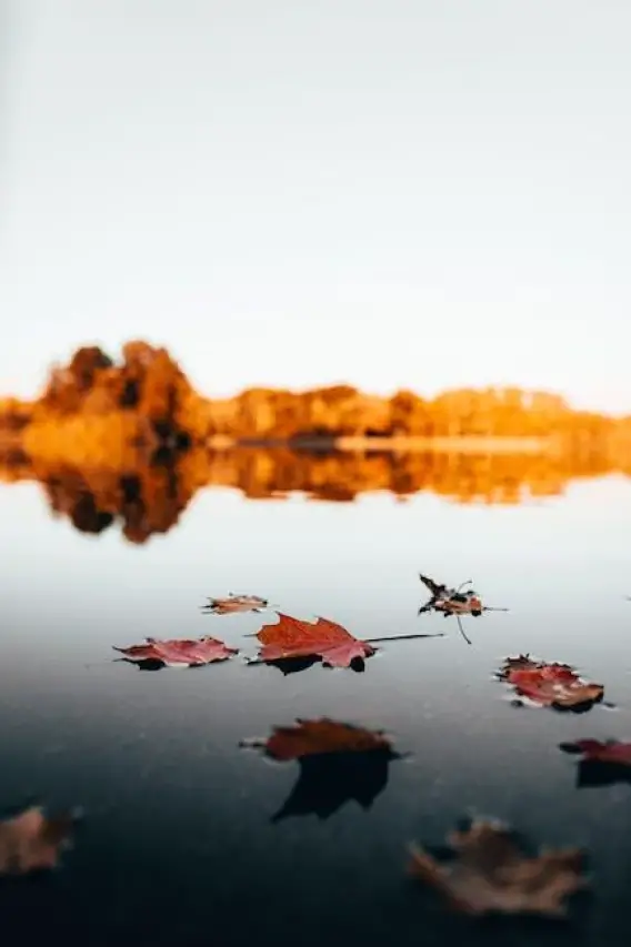 Your Guide to October Holidays: What’s Coming Up