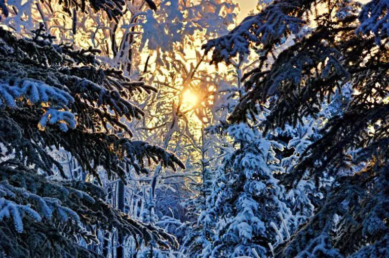 January Holiday Guide: Tips for a Relaxing Start to the Year