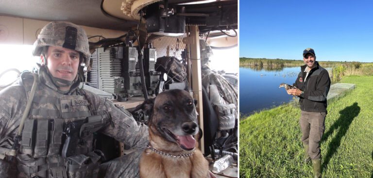 The Role of Canine Officers: Understanding the Importance of Cop Dogs