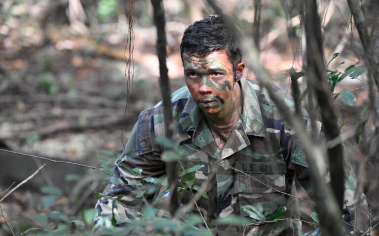 The Psychology of Tug of War: Understanding Why Dogs Love This Game