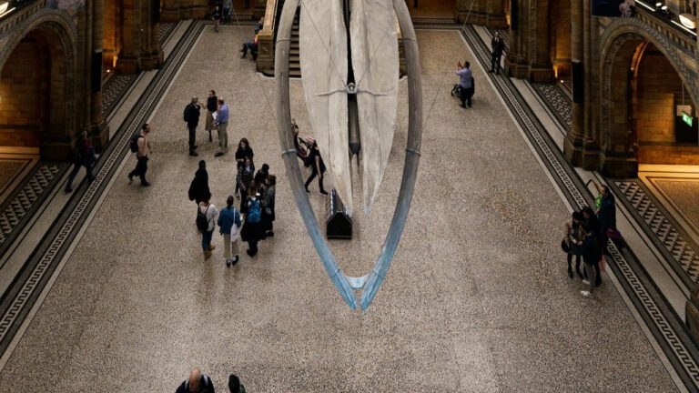 Discover Van Gogh’s Inspiring Quotes on Life