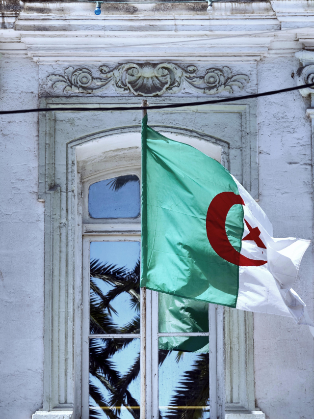 Exploring the Role of Police Dogs in Law Enforcement