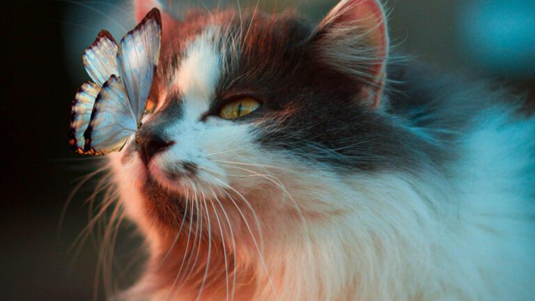 30 Fun Animal Charades Ideas for All Ages