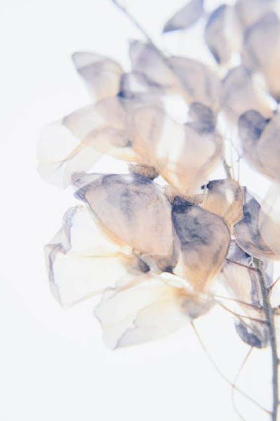 Elegant Wedding Gift Bags to Wow Your Hotel Guests