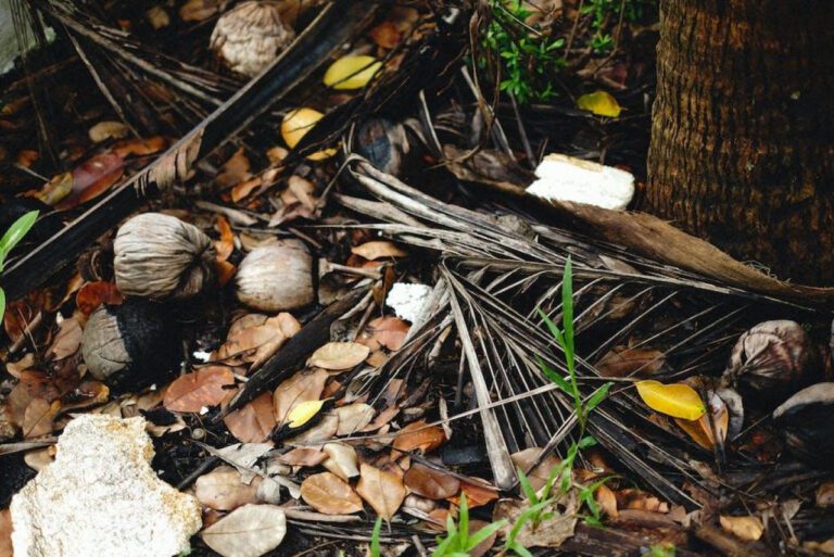 Hilary Duff’s Dreamy Engagement Story: A Romantic Fairytale Come True