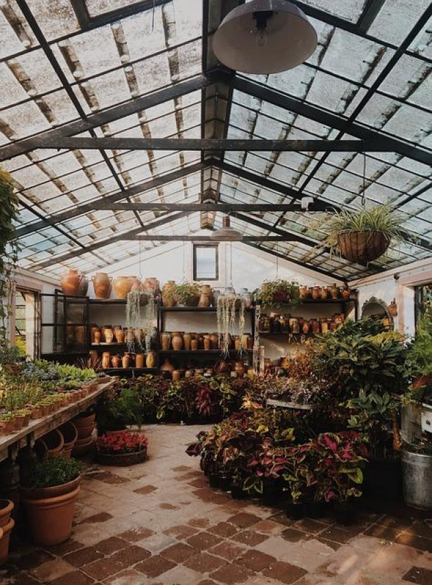 Enchanting Greenhouse Wedding Venues: A Romantic Escape