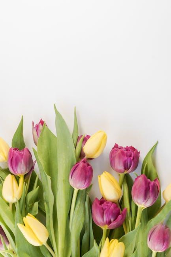 10 Spring Wedding Cake Ideas for a Romantic Celebration