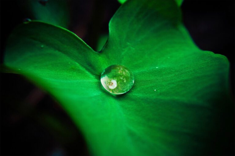 Empower Your Mind with These Safety Mindset Quotes