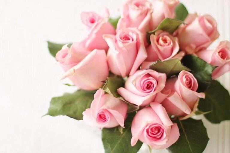 Charming Bridal Shower Thank You Note Ideas