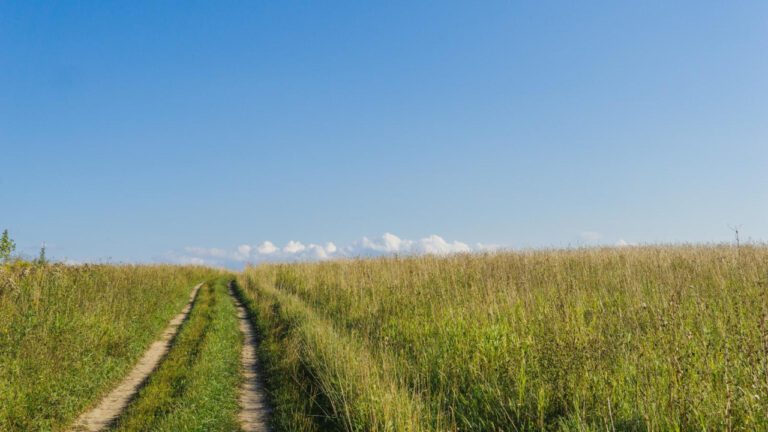 Are you ready to inspire change? Check out these powerful Environment Day quotes!