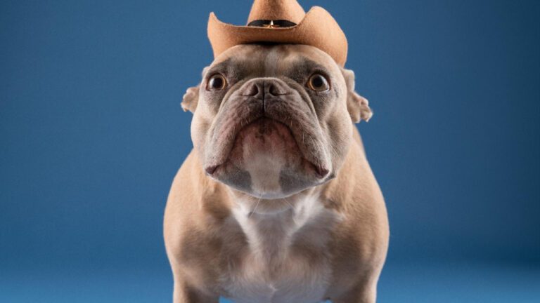 Need a chuckle? Check out these hilarious quotes!