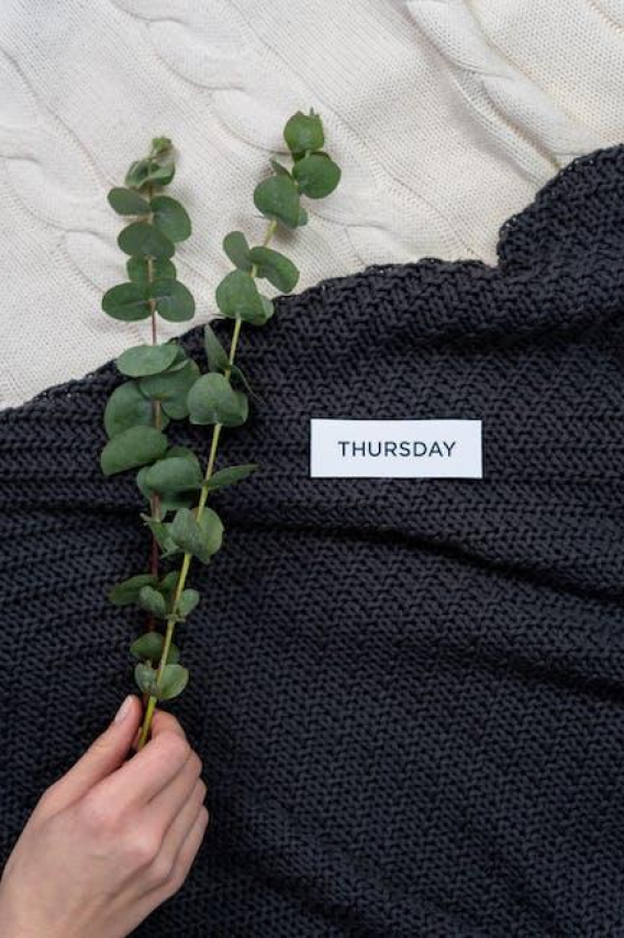 Need a Pick-Me-Up? Check Out These Hilarious Tuesday Motivational Quotes!