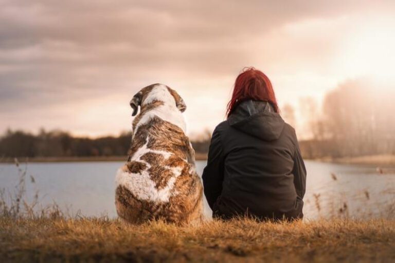 Building Trust in Relationships: The Key to Lasting Love