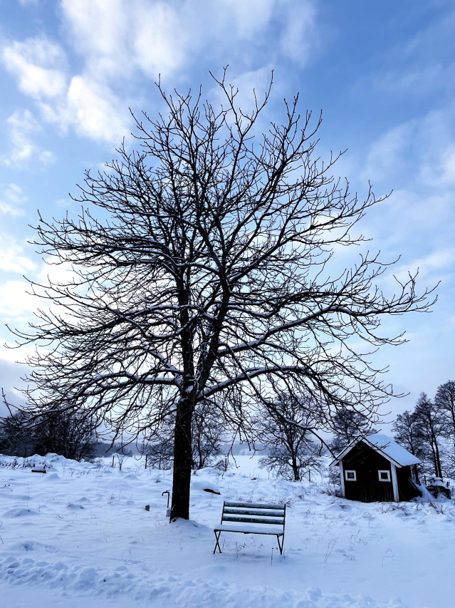 Longing for You: Heartfelt Quotes About Missing Someone
