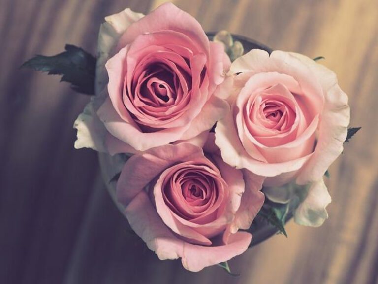 Sweet 16: Romantic Anniversary Gifts for 16th Wedding Anniversary
