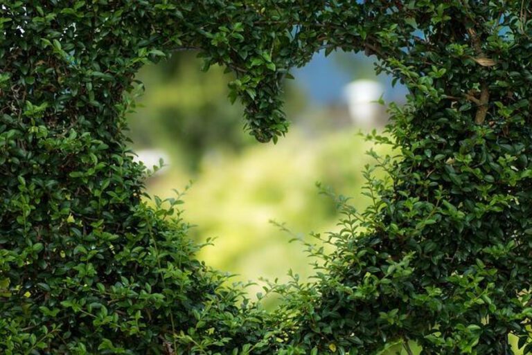 Longing for Your Love: Heartfelt Missing You Quotes for Girlfriend
