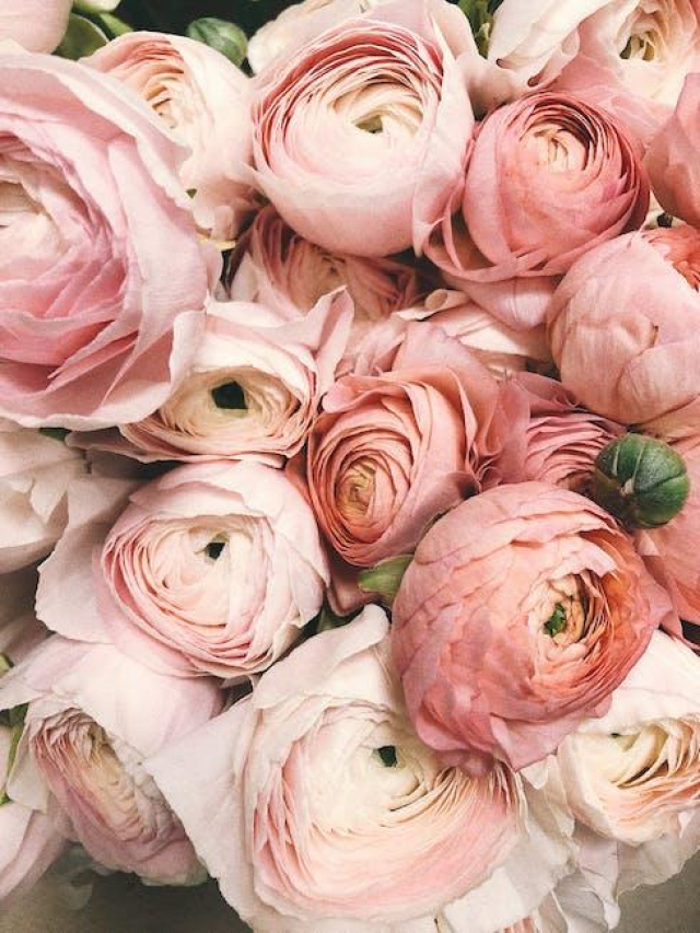 Elegant Minimalist Wedding Ideas: Simple & Romantic