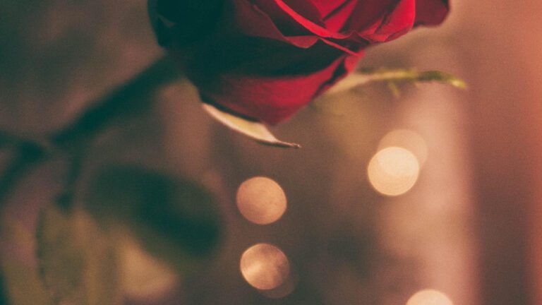 10 Romantic Men’s Date Outfit Ideas to Impress