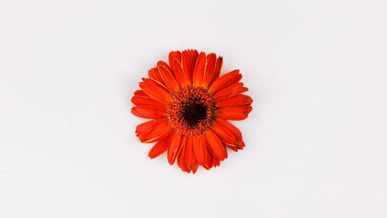 Top Romantic Gifts for Wedding Couple: Perfect Presents for Lovebirds