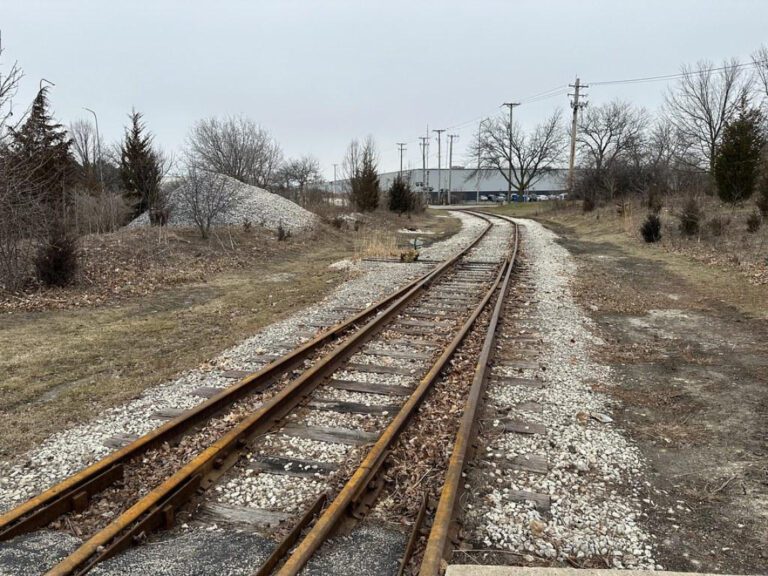 50 Fun Never Have I Ever Questions for Kids: Get the Party Started!