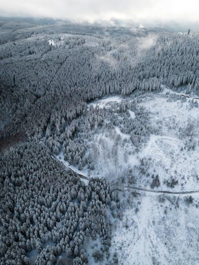 The Controversial Transformation of Ariel Winter: A Closer Look