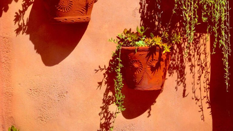 Unraveling the Height of Multi-Talented Coco Jones