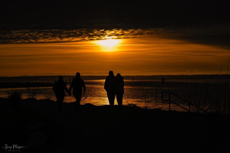 Seaside Hotel Season 9: A Comprehensive Analysis