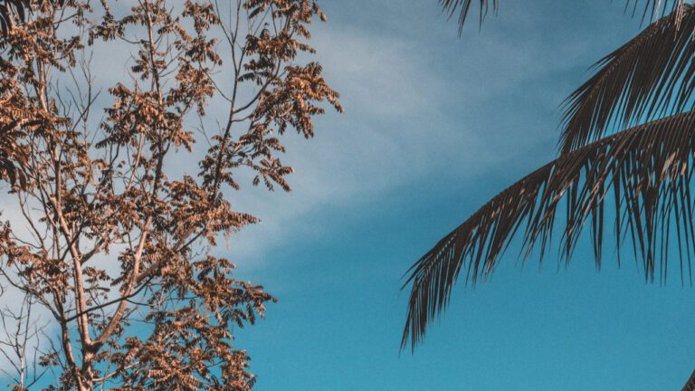 The International Hotel: A Comprehensive Analysis