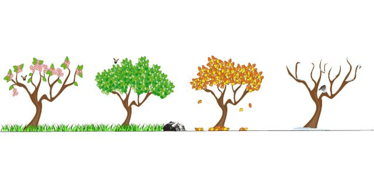 The Four Seasons Rewards Program: A Comprehensive Overview