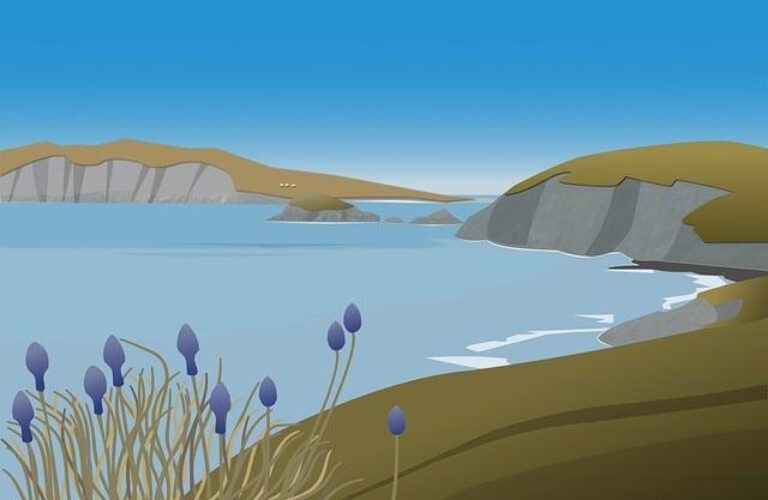 The Average Cost of Hotels in Japan: A Comprehensive Analysis