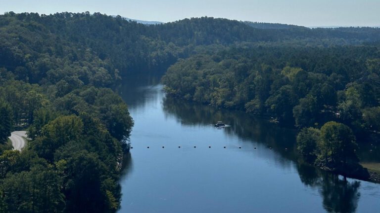 The Voice: Discover Blake Shelton’s Replacement!