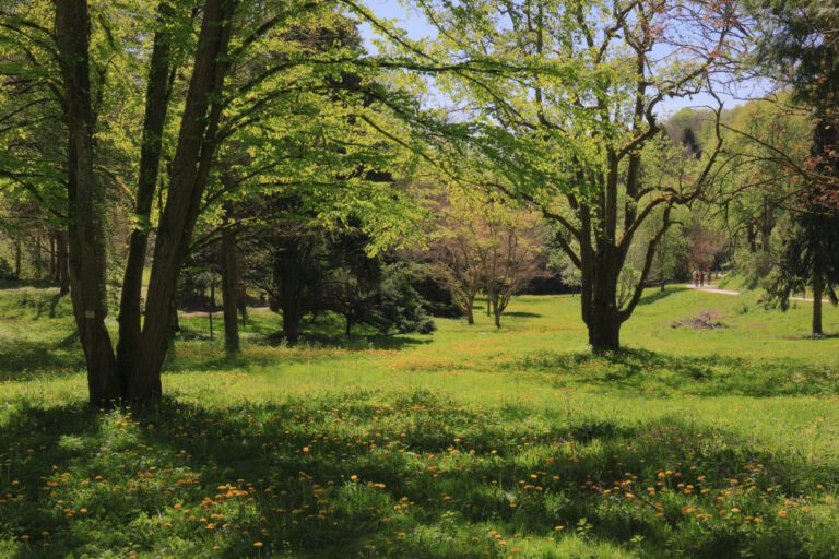 Minimum Age for Hotel Room Bookings: What You Need to Know