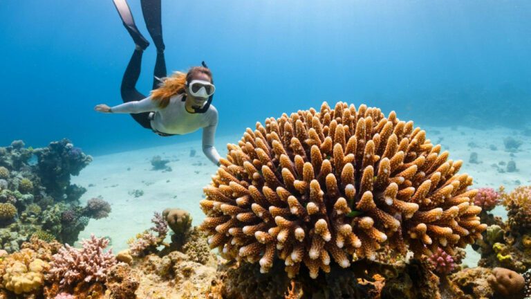 Exploring the Cost of an Underwater Hotel in Florida