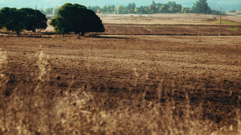 Discover the Legends: American Idol’s Past Winners