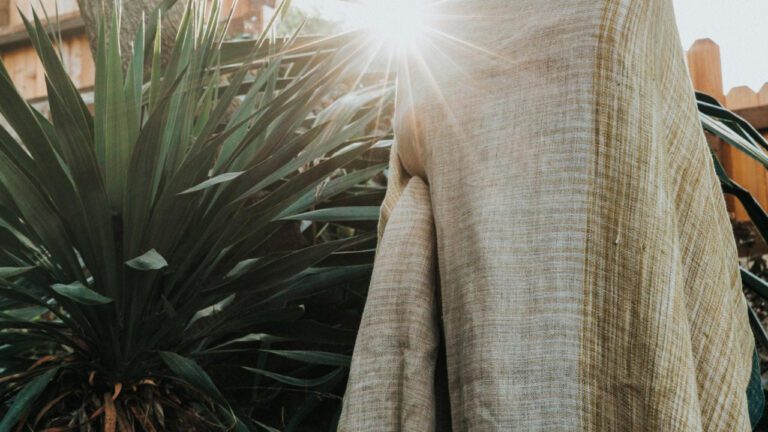 Unveiling the Dynamic Duo: Zach and Kaity’s Extraordinary Journey