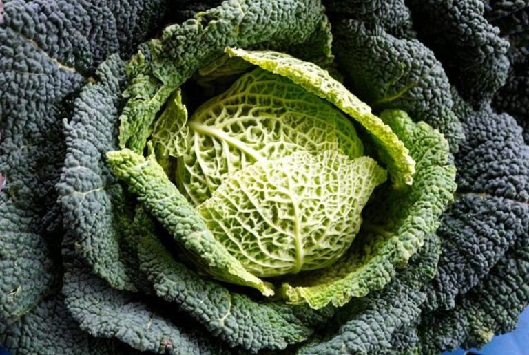 Understanding Kohl Eyeliner: Origins, Uses, and Tips