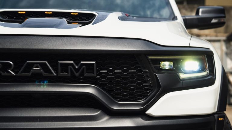 The Ultimate Guide to Denamarin Advanced Large Dog Formula