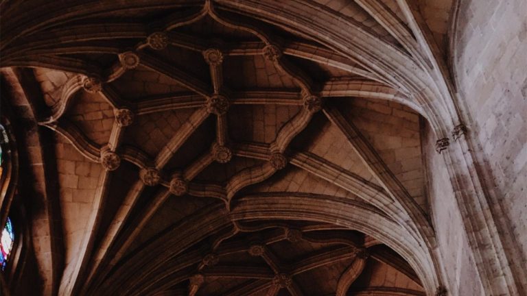 Detailed Guide to Nobivac 1 DAPPV Canine Vaccine: What You Need to Know