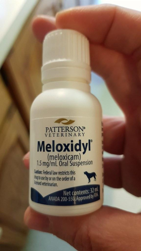 The Ultimate Meloxicam Dosage Chart: Your Complete Guide