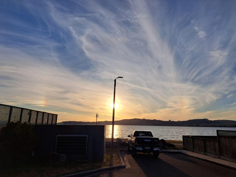 Understanding Clavacillin for Dogs: Benefits and Usage Guide