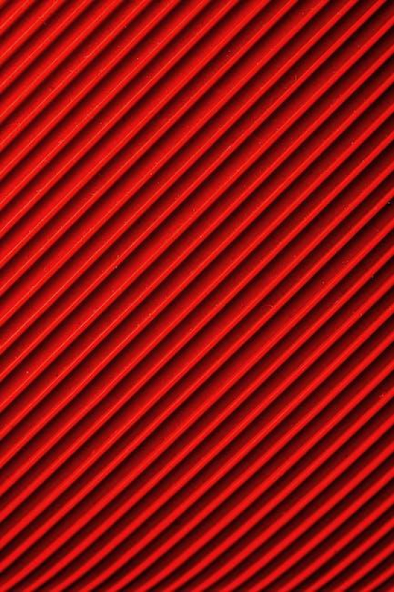 Understanding Red Inflamed Gums in Dogs: Causes and Treatment