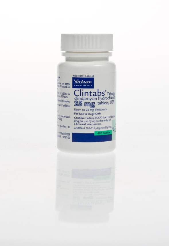 Benefits of Using Clintabs for Dogs: A Comprehensive Guide