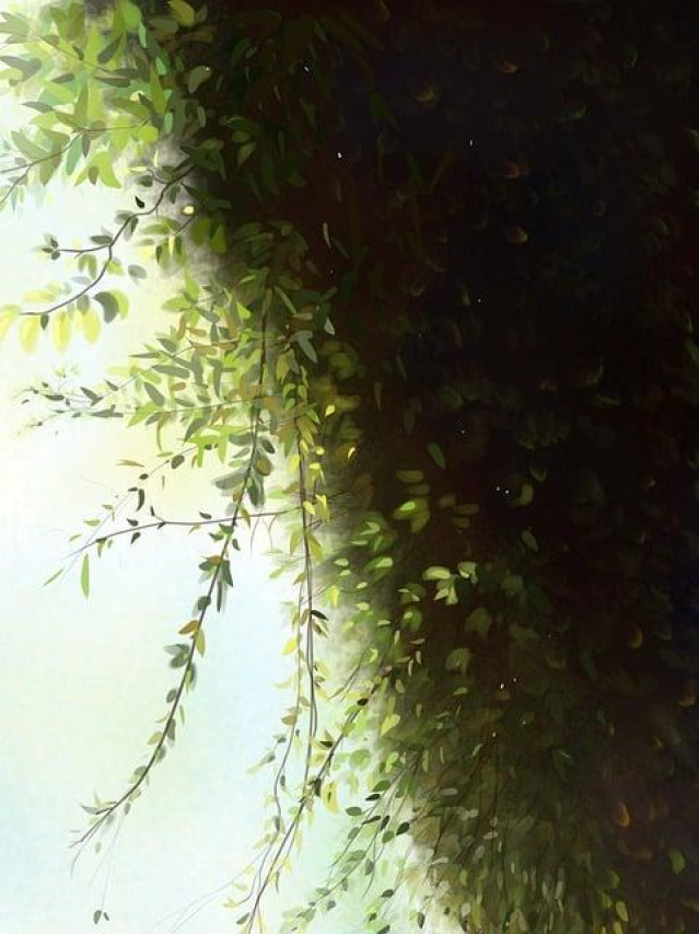 Natural Smells that Repel Cats: A Guide